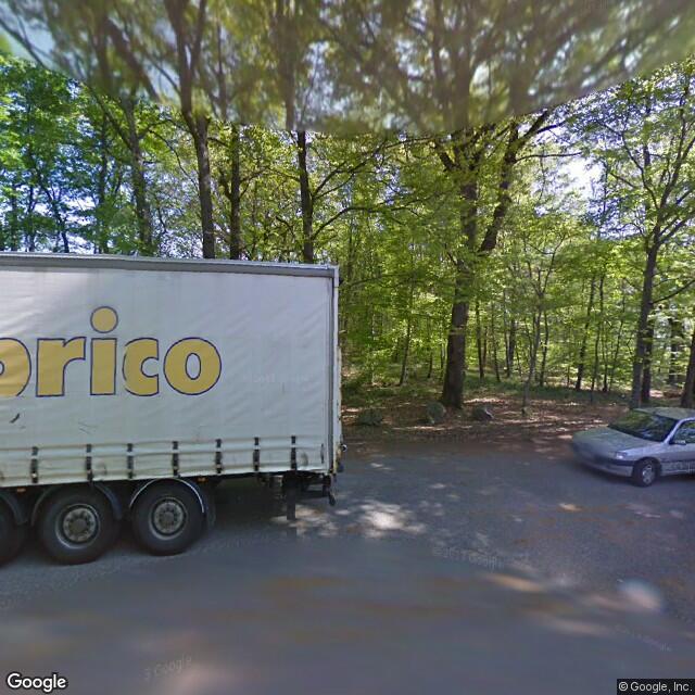 Bois de Torcy — Torcy