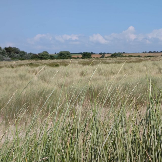 Plage de Dragey-Ronthon — Dragey-Ronthon