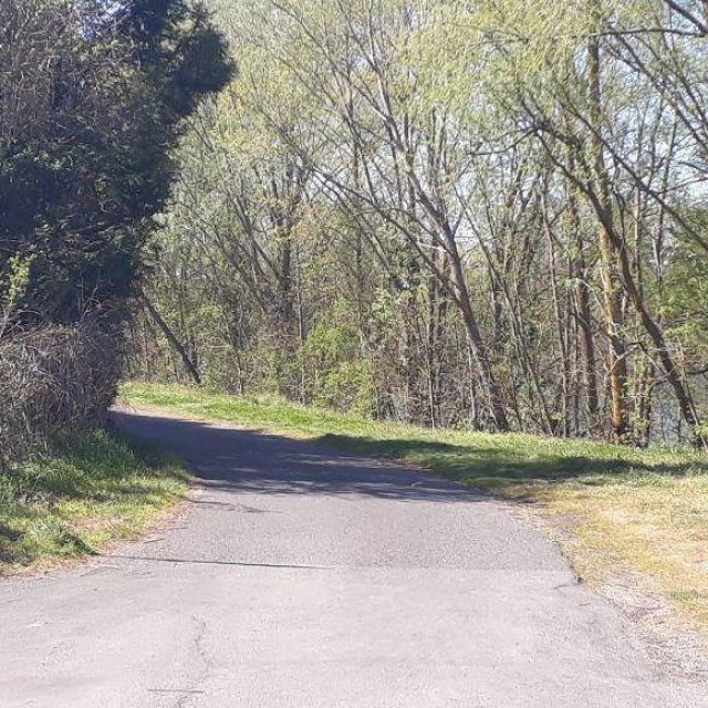 bois en bord de cher Bléré — Bléré