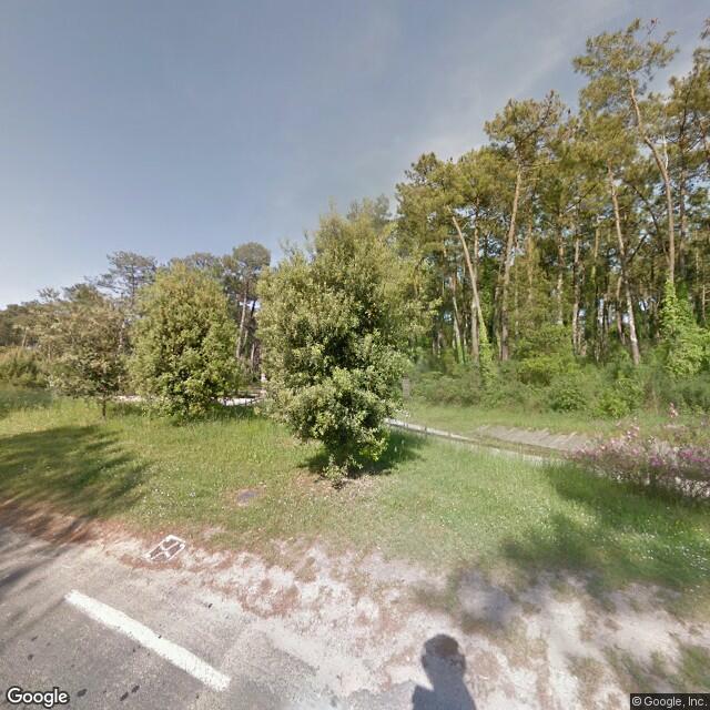 Forêt de Chiberta — Anglet
