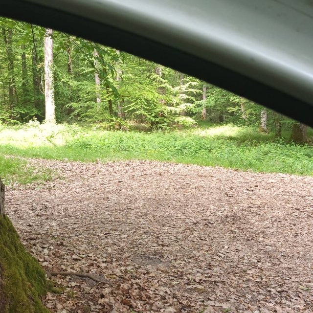 Forêt de Moulière — JF9H+FM Bignoux France