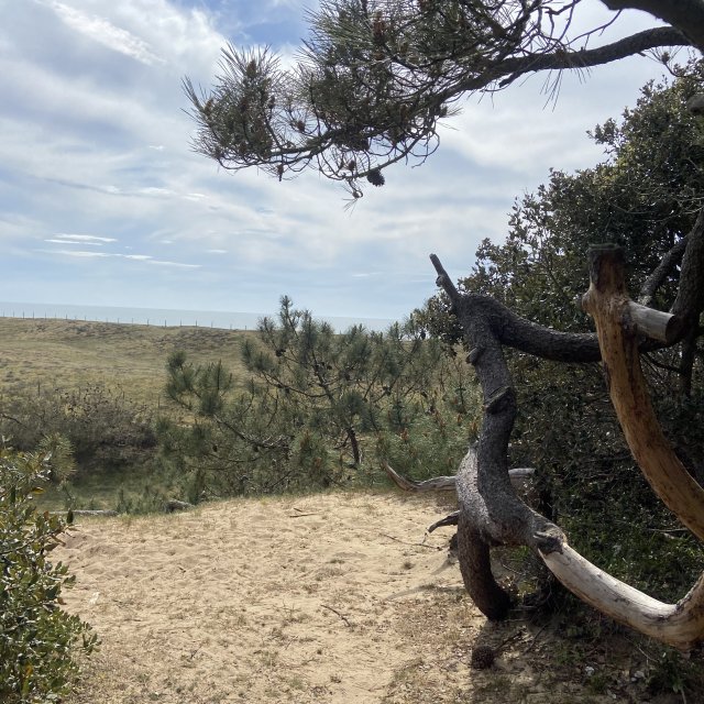 Plage de la Terrière (85360 La Tranche sur Mer) — La Tranche-sur-Mer
