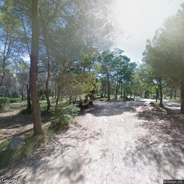 Bois de La Valmasque — Valbonne